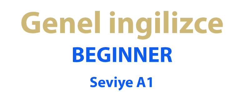 Elementary A1 - bitgab Academy - Learn English Online