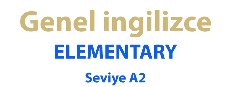 Elementary A2 - bitgab Academy - Learn English Online