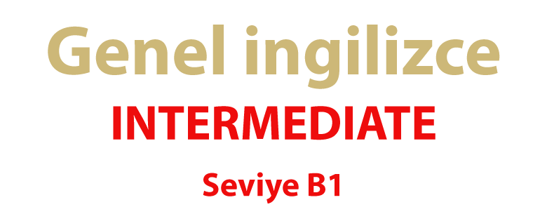 Intermediate B1 - bitgab Academy - Learn English Online