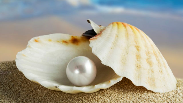 A pearl deals