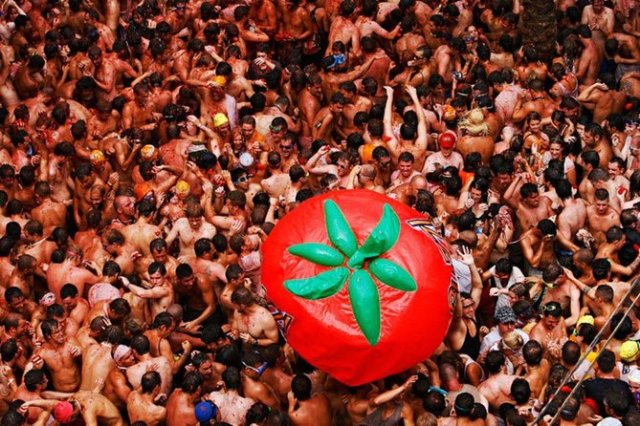 la-tomatina-english-reading-exercise-advanced-level-bitgab