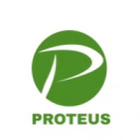 Proteus Consulting